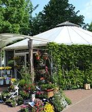 Blumenhaus Frankenstein Bild 3