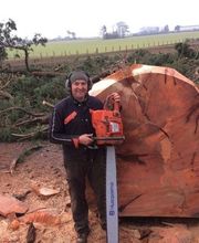 Duhautoy David image 3