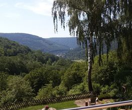 Landhaus Neckarblick Bild 7