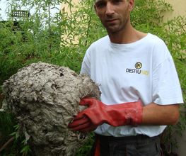 destrunid image 4