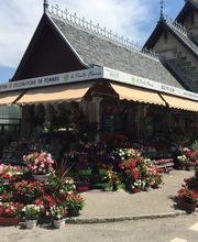 A. Pinto Fleurs Bild 5