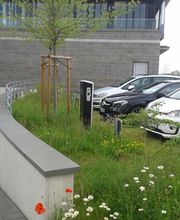 naturplan Landschaftsplanung Dipl.-Ing. S. Müllensiefen Bild 2