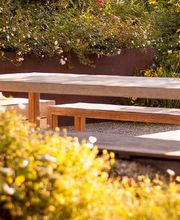 Aquilegia Im Garten Zuhause GmbH Bild 1