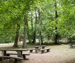 FriedWald Rümmingen Bild 11
