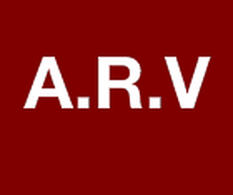 A.R.V Manuel Vasconcelos image 1