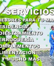 RESIDENCIA CANINA SORIA imagen 1