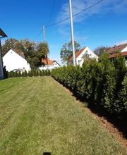 Baumschule Goßner Bild 17