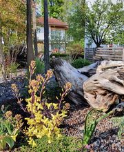 Küng Garten AG Bild 11