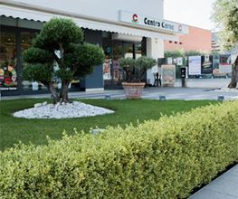 Gallery Cliente