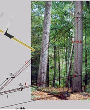 Foissac Pierre image 1