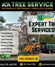 AA Tree Service image 5