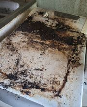 Sos Antinuisibles 54 image 10