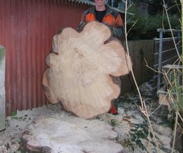 Trinkgeld GmbH Garten- & Landschaftsservice Bild 11
