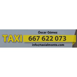 logo-taxi.png