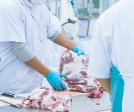 Umut fleisch GmbH Bild 7