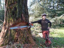 AGS - Arboriste Grimpeur Spécialisé