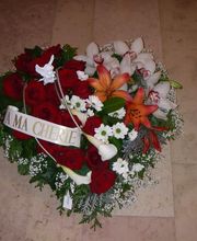 Flowers image 19
