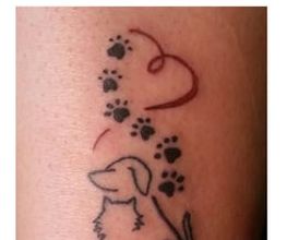 Paticillo Tattoo Bild 11