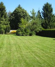 Fenk Anton Garten- und Landschaftsbau Bild 3