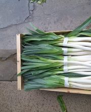 MES FRESC QUE MAI S.L. imagen 2