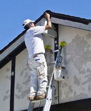 Triboulois Nicolas image 1