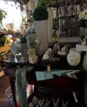 Stilvoll Sandra Schmitt Bild 4