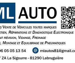 ML AUTO image 2