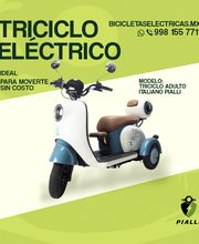 El triciclo eléctrico Pialli Italiano ofrece máxima estabilidad para adultos y adultos mayores. Motor 500W, autonomía de hasta 40–50 km y asiento doble con respaldo y baúl.