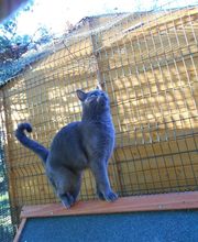 Les Moustaches en Vacances image 15