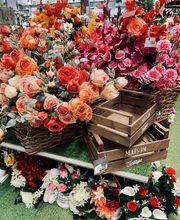 Centrakor Sarlat image 20