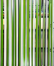 Gallery Professionale