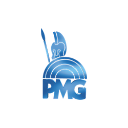 Pmg Sistemi di Sicurezza logo