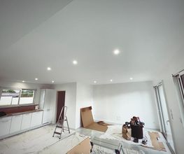 Caelec40 image 2