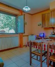 Agriturismo la Mora - Agriturismo Assisi immagine 17