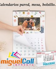 MIGUEL FABIAN COLL imagen 2