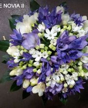 floristeriadetomas_ramosdenovia.JPG