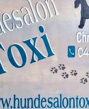 Hundesalon Toxi Horgen Bild 1