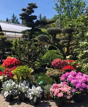 Gärtnerei & Baumschule Irrling Bild 2