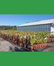 Notre Jardin Propre image 2