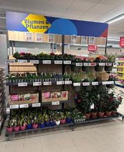 Lidl Bild 4