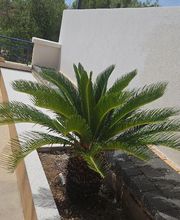 Sud Déco Maçonnerie image 11