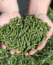 Grastrocknungs-Genossenschaft Märstetten und Umgebung Bild 3