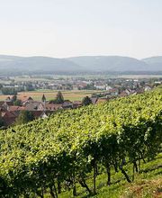 Besenwirtschaft Fasshotel Bild 8