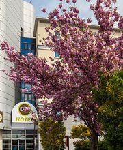 B&B HOTEL Paris Est Bondy image 7