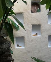 Peau de Miel image 5