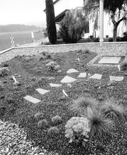 Déco Terre & Jardin SA Bild 12