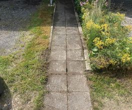 Haus-&Gartenservice Rose Bild 18