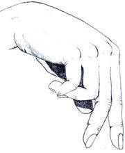 Fisioterapia Marco Tettamanzi Bild 1