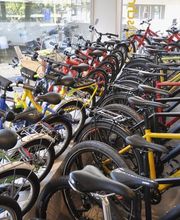 Velo Kretschmann Liebefeld Bild 3