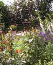 Hacker Jürgen Bild 4